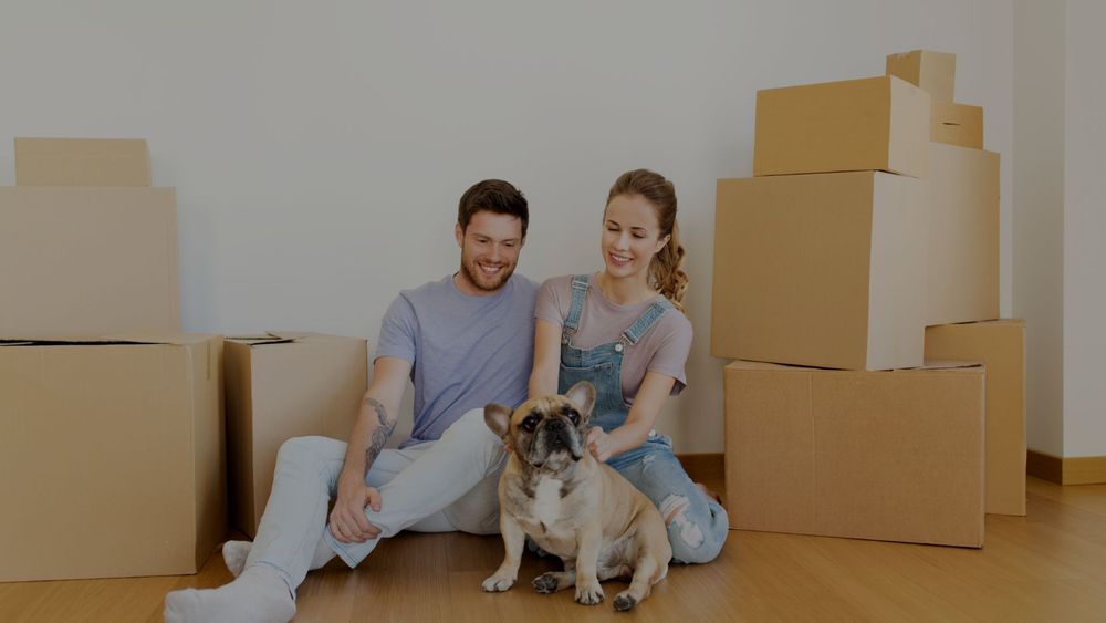 How to Prepare Your Pets For a LongDistance Move Friendly Movers